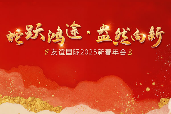 蛇躍鴻途,盎然向新 | 友誼國(guó)際2024年度工作總結(jié)表彰會(huì)隆重舉行